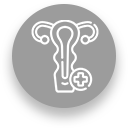 LOGICIEL EN CONSTANTE ÉVOLUTION